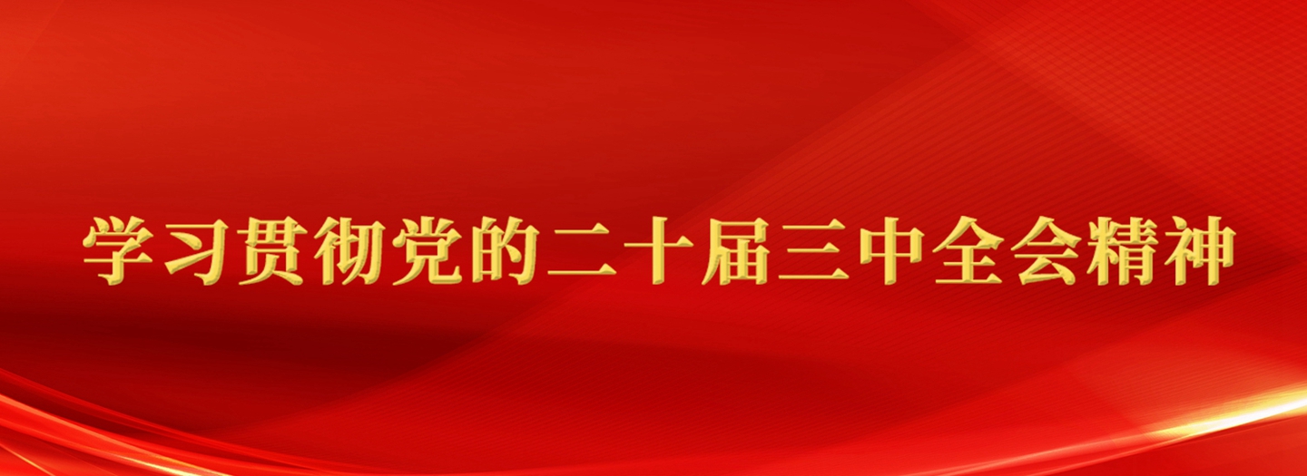 学习贯彻党的二十届三中全会精神